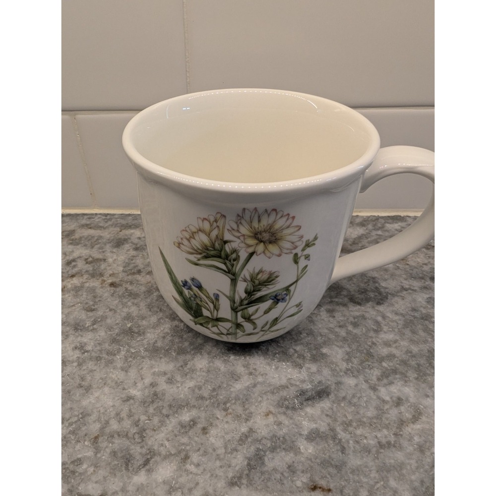 Noritake GOURMET GARDEN Mug Silphium Made in Sri‎ Lanka GREAT CONDITION